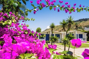 Un hôtel à l’extérieur blanc et aux volets bleus, entouré d’une végétation luxuriante et agrémenté de magnifiques fleurs de bougainvillier roses.
