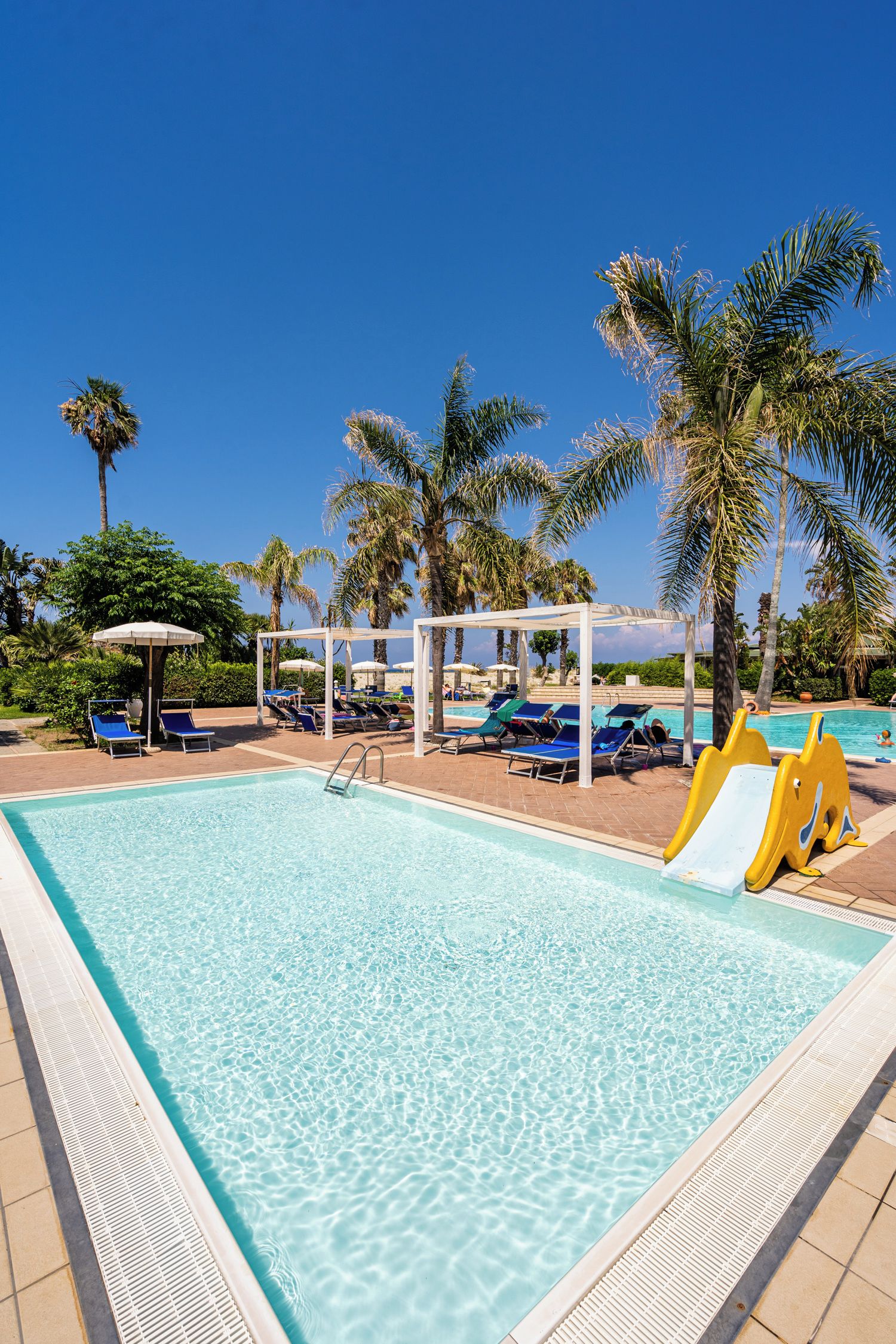 Una piscina cristallina con lettini e ombrelloni, circondata da palme.