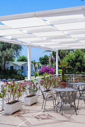 Un espace extérieur aménagé en terrasse, avec des tables et des chaises, entouré de plantes en pot et offrant une vue sur un bâtiment doté d’une porte bleue.