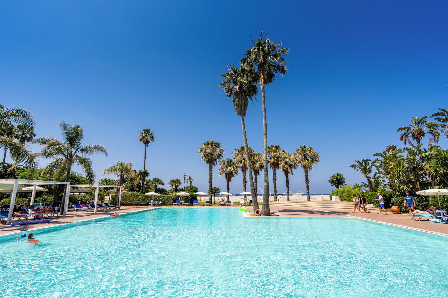 Una piscina cristallina circondata da palme e lettini da relax.