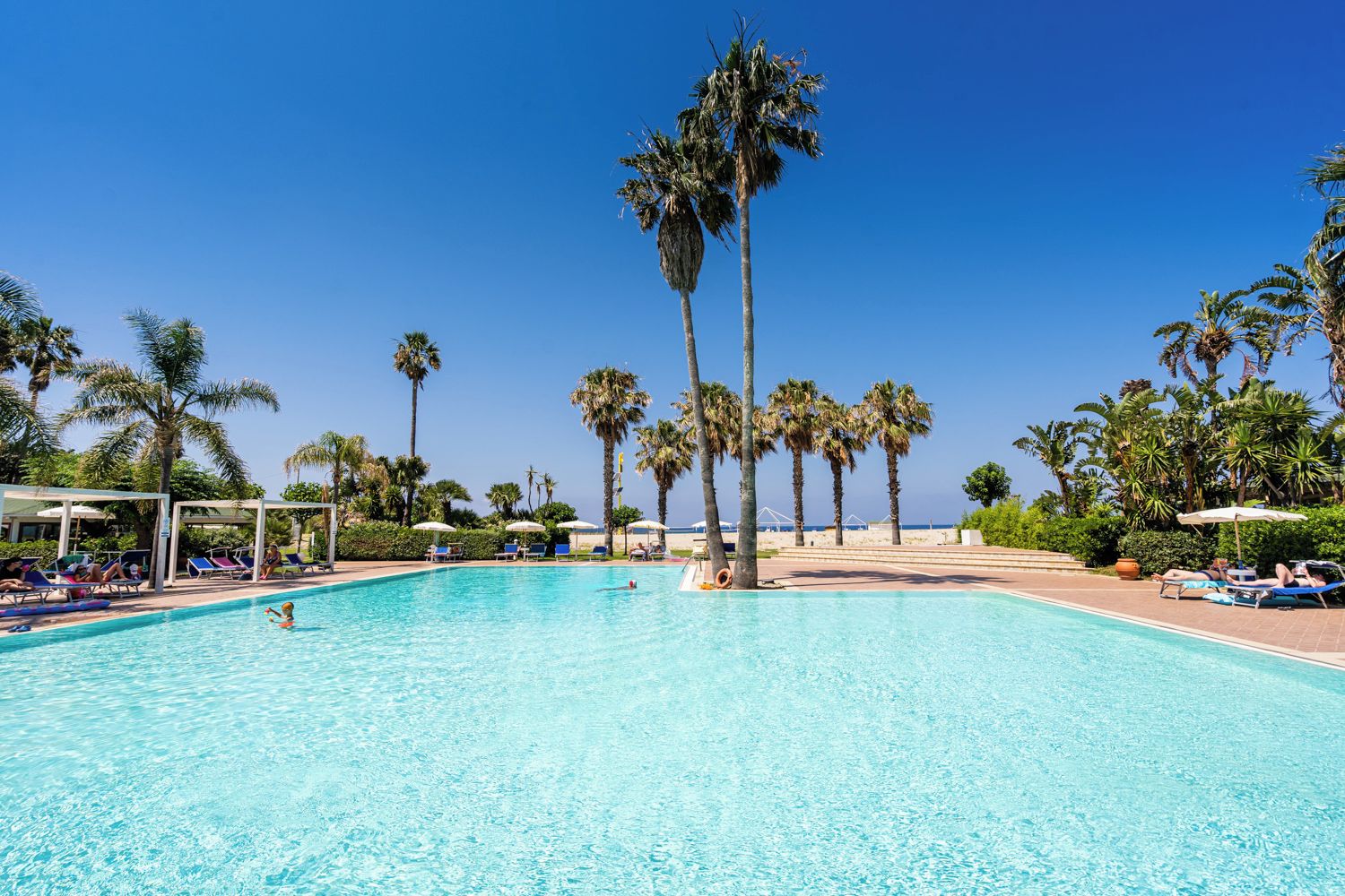 Una piscina cristallina circondata da palme e lettini da relax.