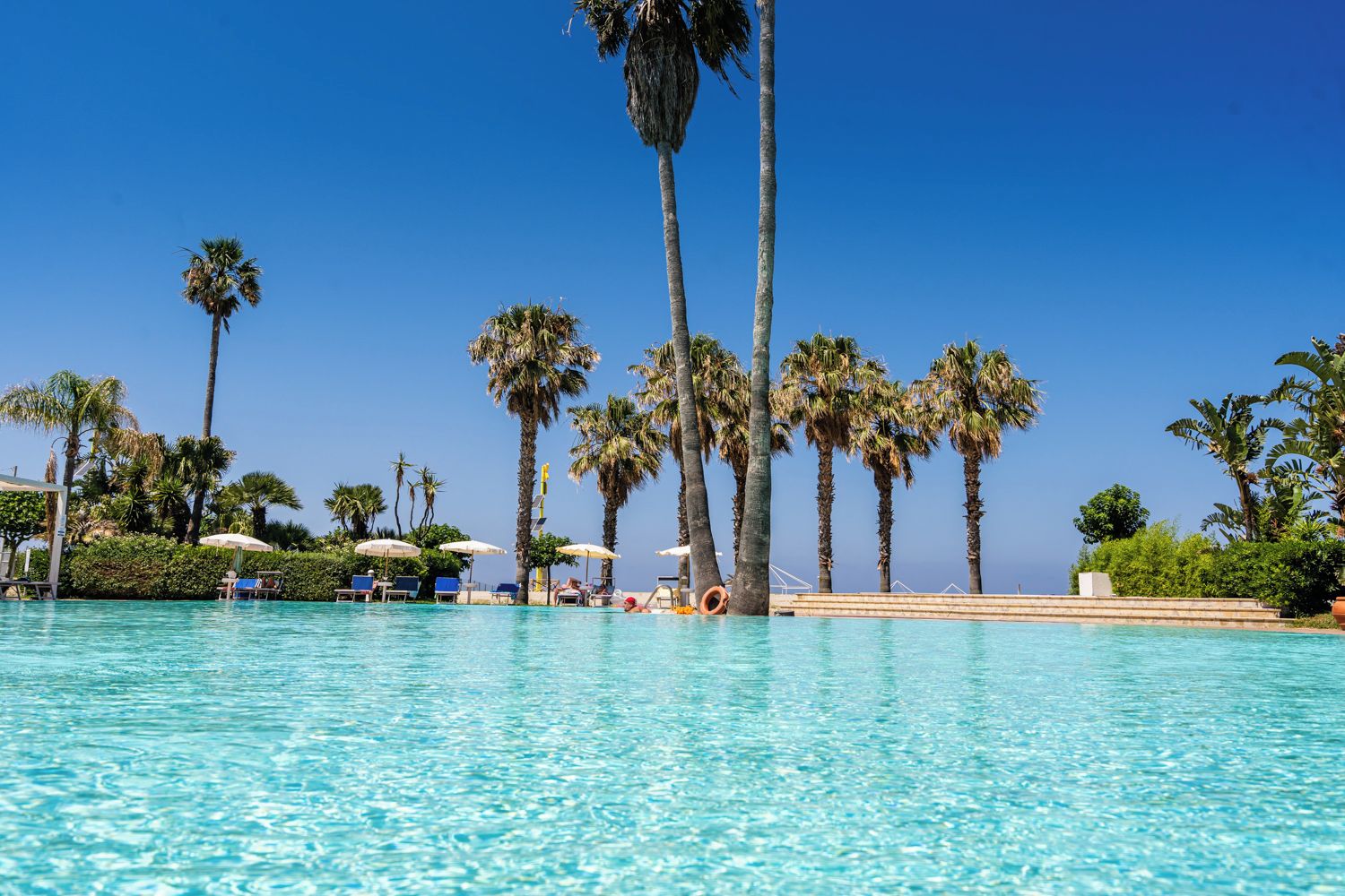 Una piscina cristallina con lettini e ombrelloni, circondata da alte palme.