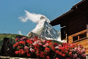 Una montaña con cima nevada, una cabaña de madera y flores rojas en primer plano.