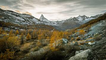 Eine Berglandschaft mit herbstlich gefärbten Bäumen und schneebedeckten Gipfeln.
