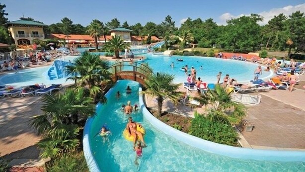 A large outdoor swimming pool with multiple lanes, surrounded by palm trees and lounge chairs.