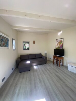 Smart TV, lareira, DVD player, biblioteca musical