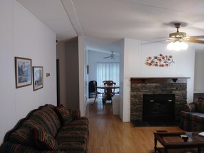 TV, fireplace, books