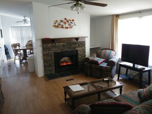 TV, fireplace, books