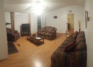 TV, fireplace, books