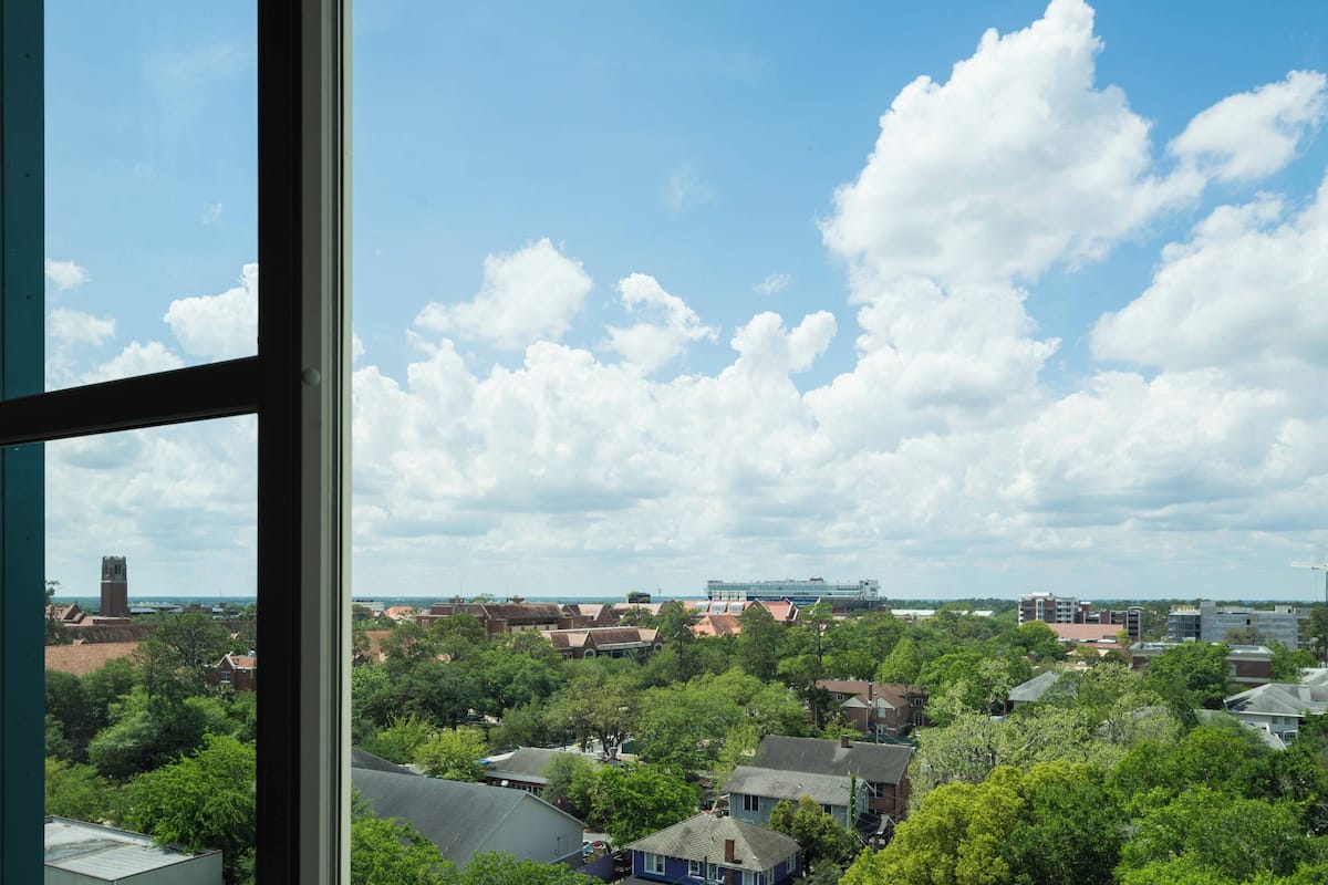 Blick durch ein Fenster auf ein Wohngebiet mit Häusern, Bäumen und im Hintergrund eine Brücke sowie ein Turm.