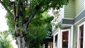A street with parked cars, a sidewalk, and a building with a sign that reads "Flat Shop".