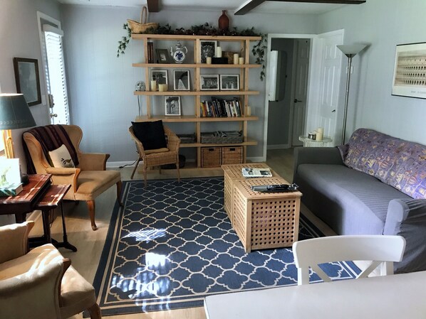 Smart TV, fireplace, DVD player, books