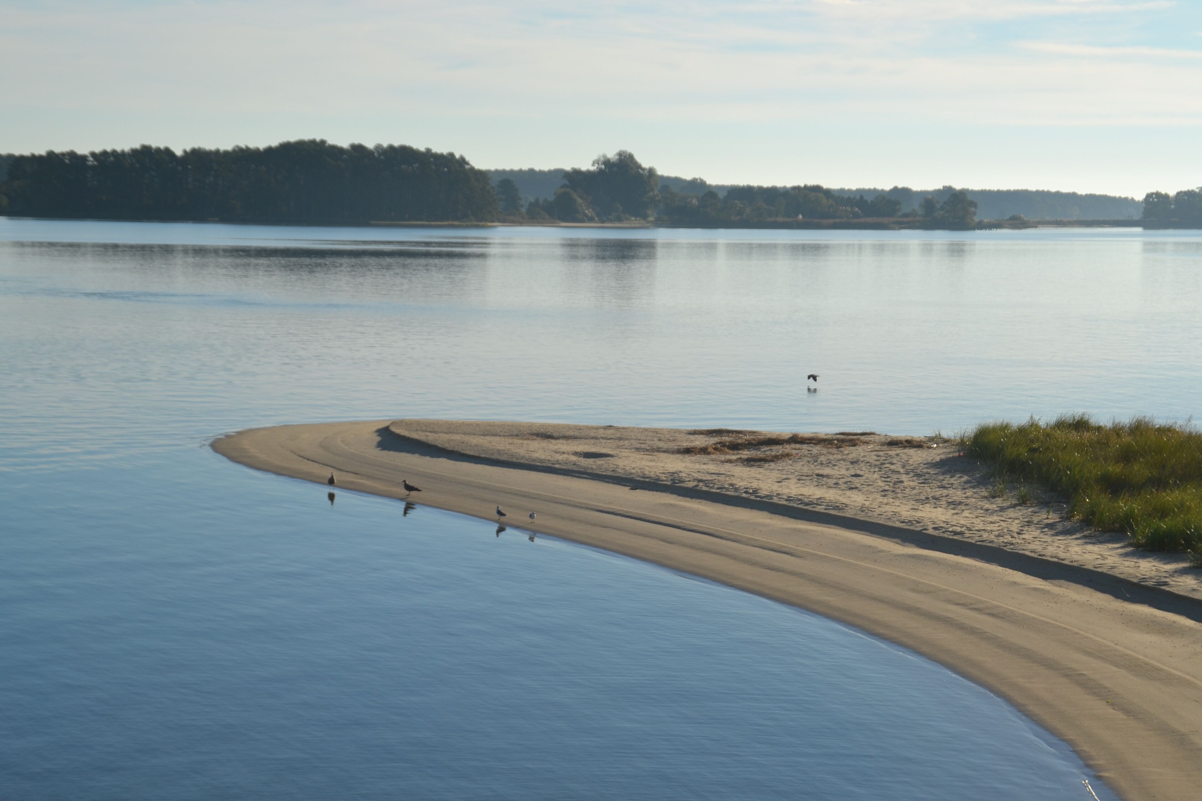 Sun loungers, beach towels