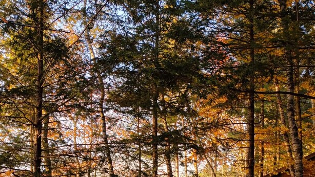 A hot tub on a wooden deck with a view of a forest and a body of water. - Sunset Beach Chalet with Hot Tub & Fire Pit Near Hiking, Skiing & Snowmobiling (Gaylord)
