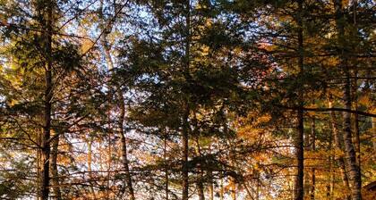 Sunset Beach Chalet W / ulkokylpytynnyri Arrowhead-järvellä! Kajakit, Wi-fi, allas!