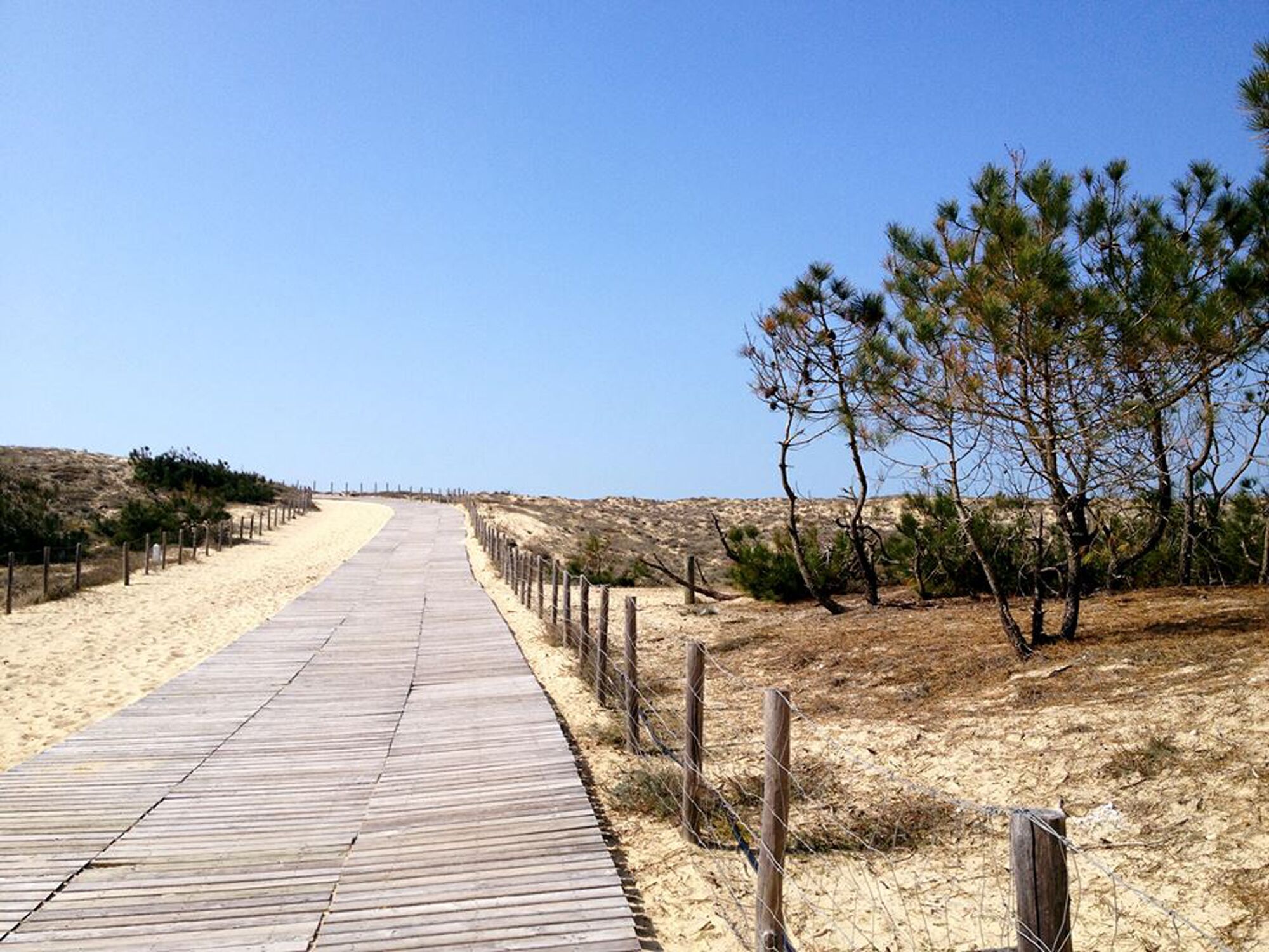 A wooden boardwalk leading to a beach with sparse vegetation and a clear sky.