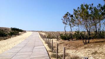 A wooden boardwalk leading to a beach with sparse vegetation and a clear sky.