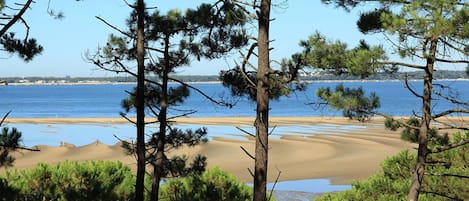 Una spiaggia nelle vicinanze