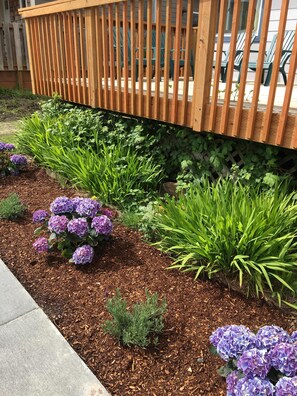 Exterior detail - BRIGHT! 1.5 Blocks to Beach - Light Filled House (3 Bedroom Plus Den)  (Seaside)