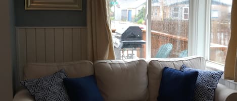 TV, fireplace, books