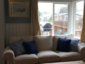 Televisión, chimenea y libros 