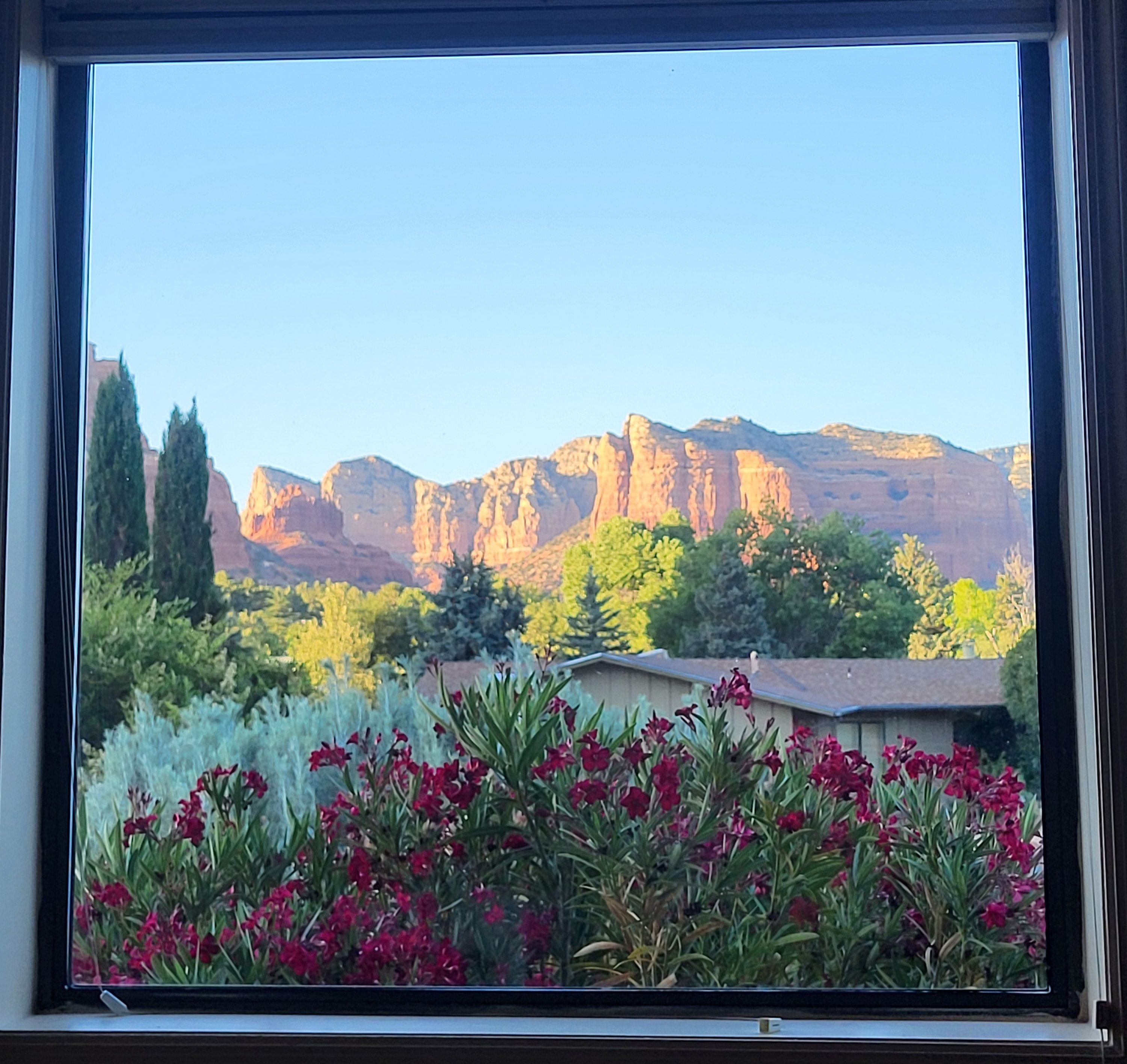 A window view of a mountain landscape with a clear sky, a house, and a garden with red flowers.