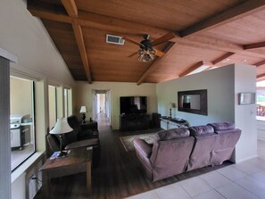 TV, fireplace, books, music library