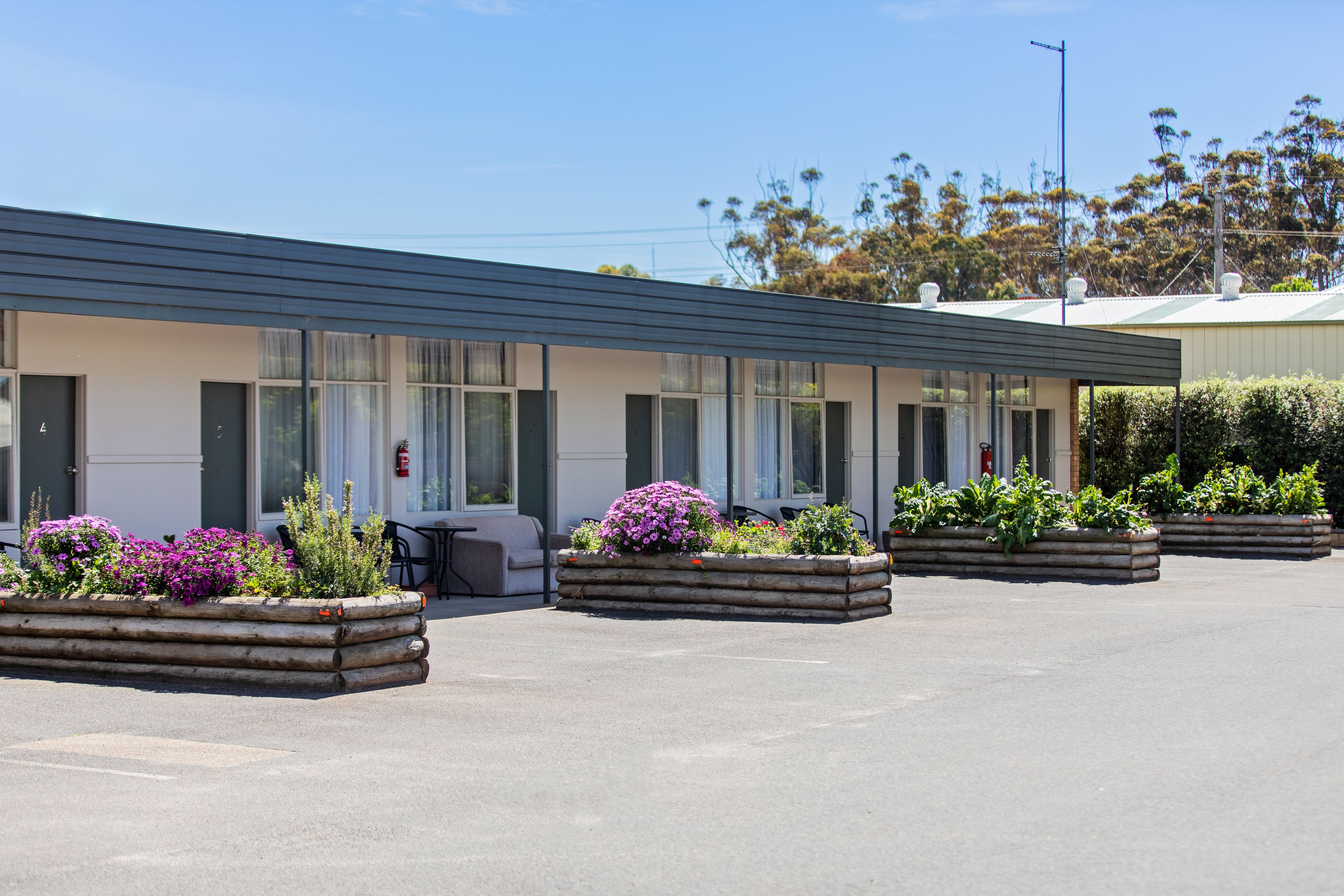 A motel with a row of rooms, each with a window and a door. There are flower planters in front of the rooms.