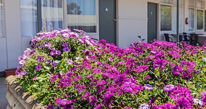 Maffra Motor Inn