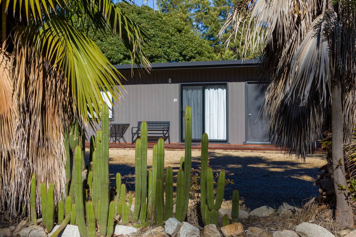 A modern building with a grey exterior, a patio with a bench, and a cactus garden in the foreground.