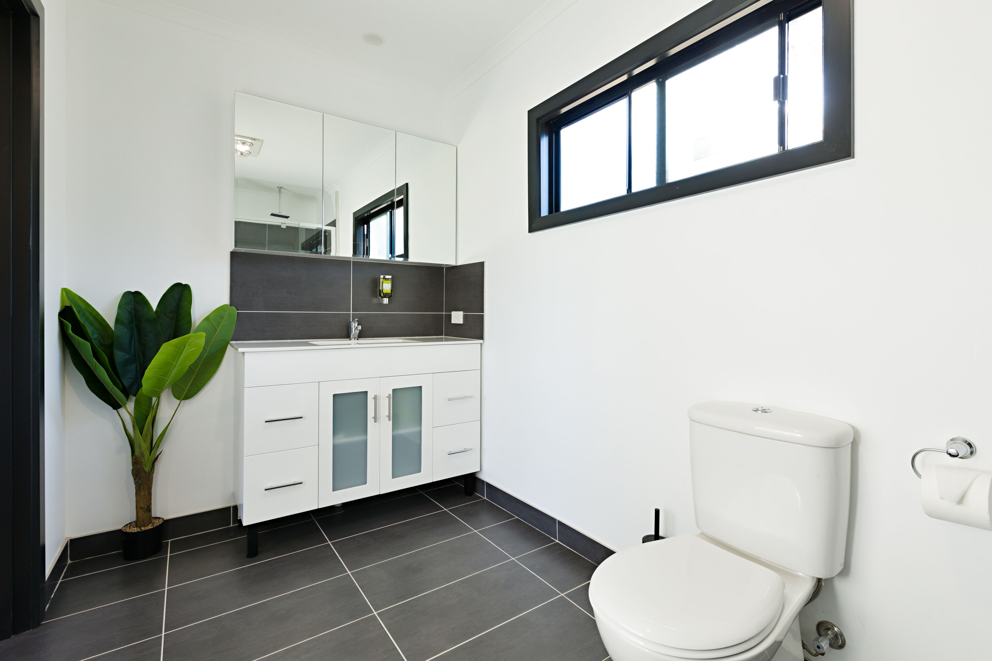 A modern bathroom with a white toilet, a large mirror, and a potted plant.