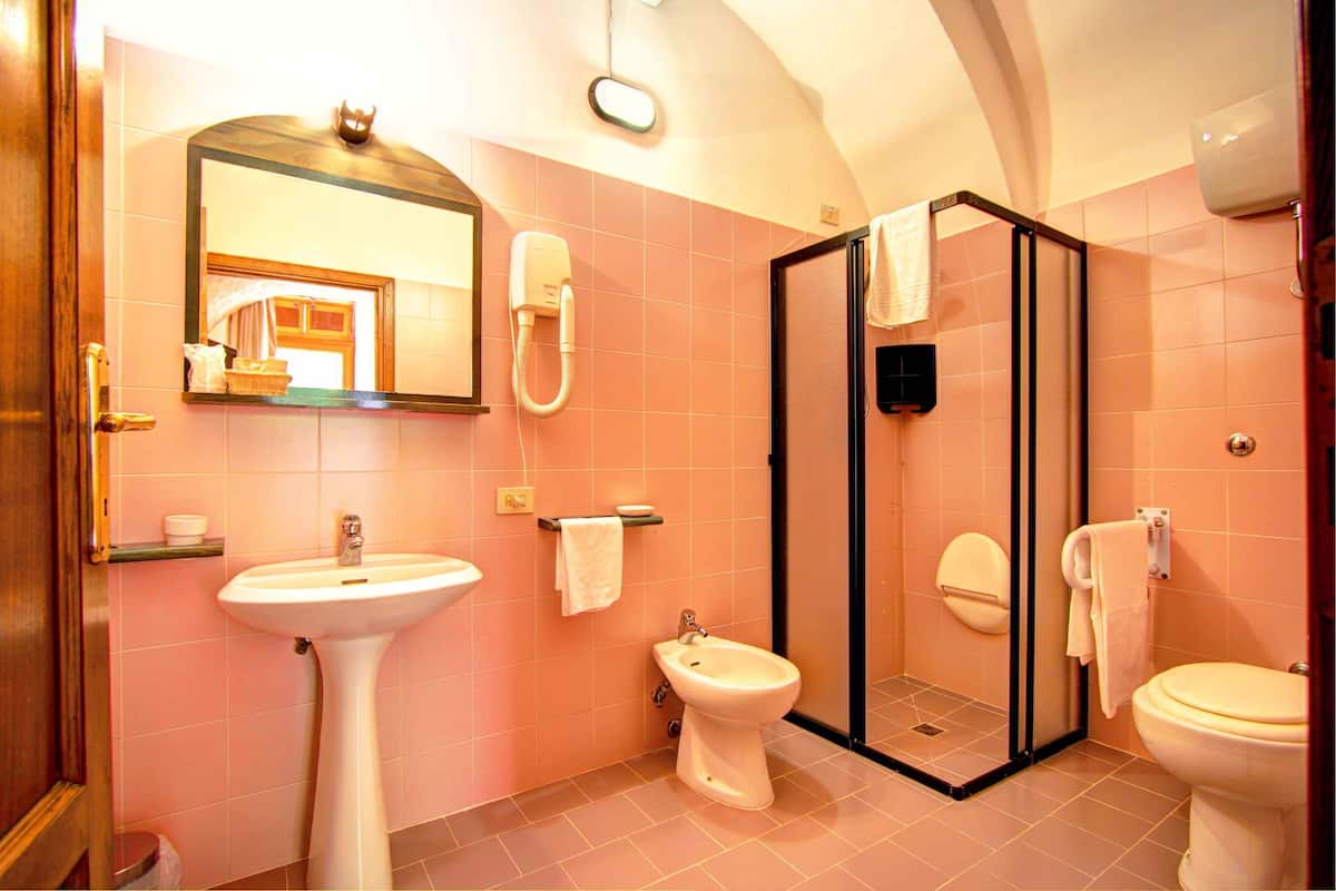 economy double room | bathroom | shower, free toiletries, hair dryer, bidet