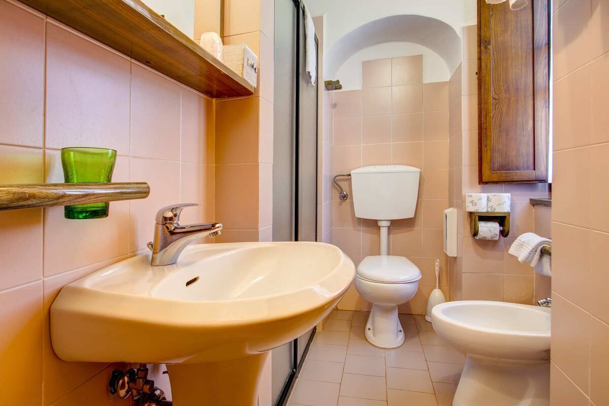 shower, free toiletries, hair dryer, bidet