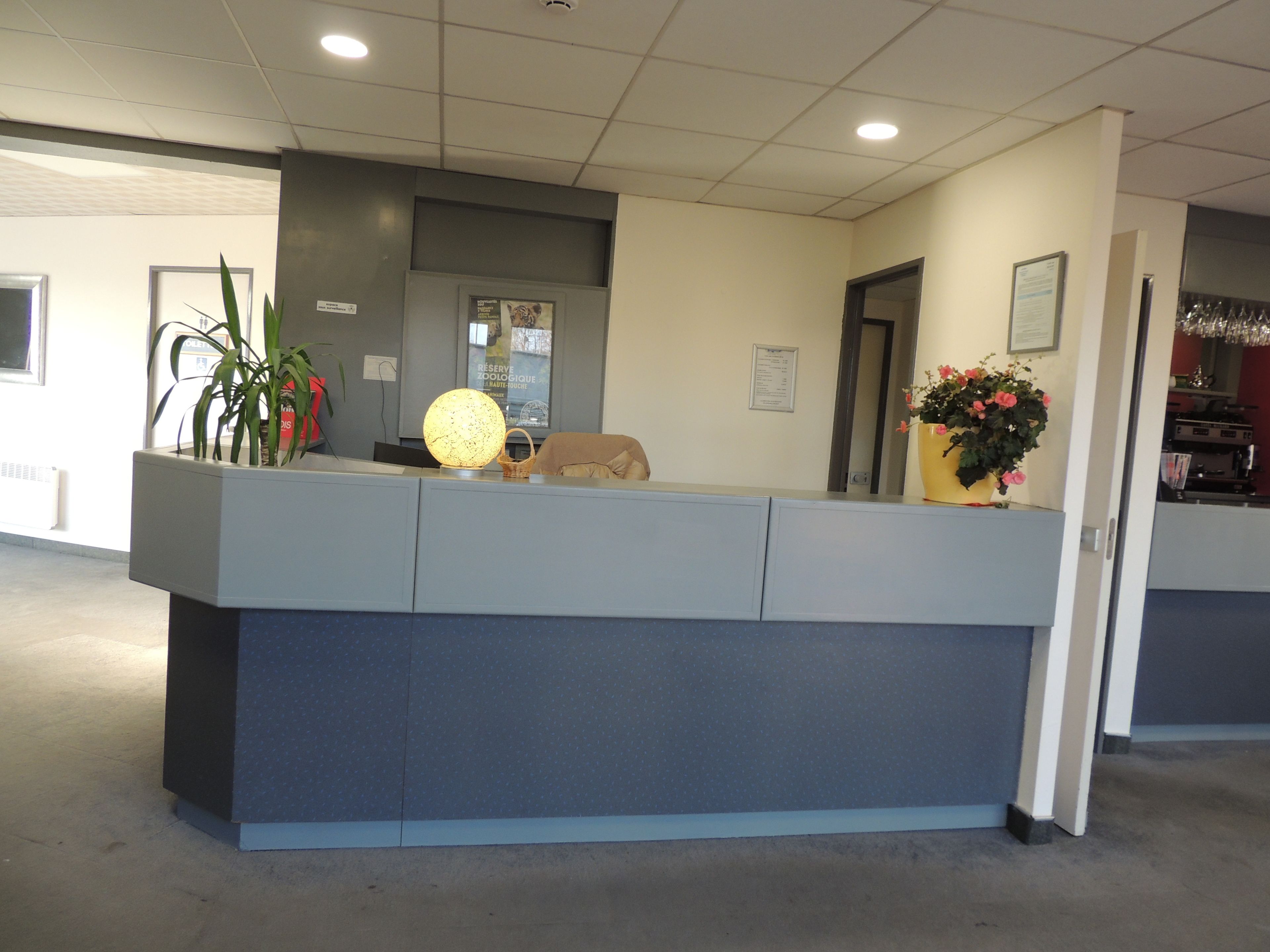 A reception desk with a light fixture, a plant, and a vase with flowers.