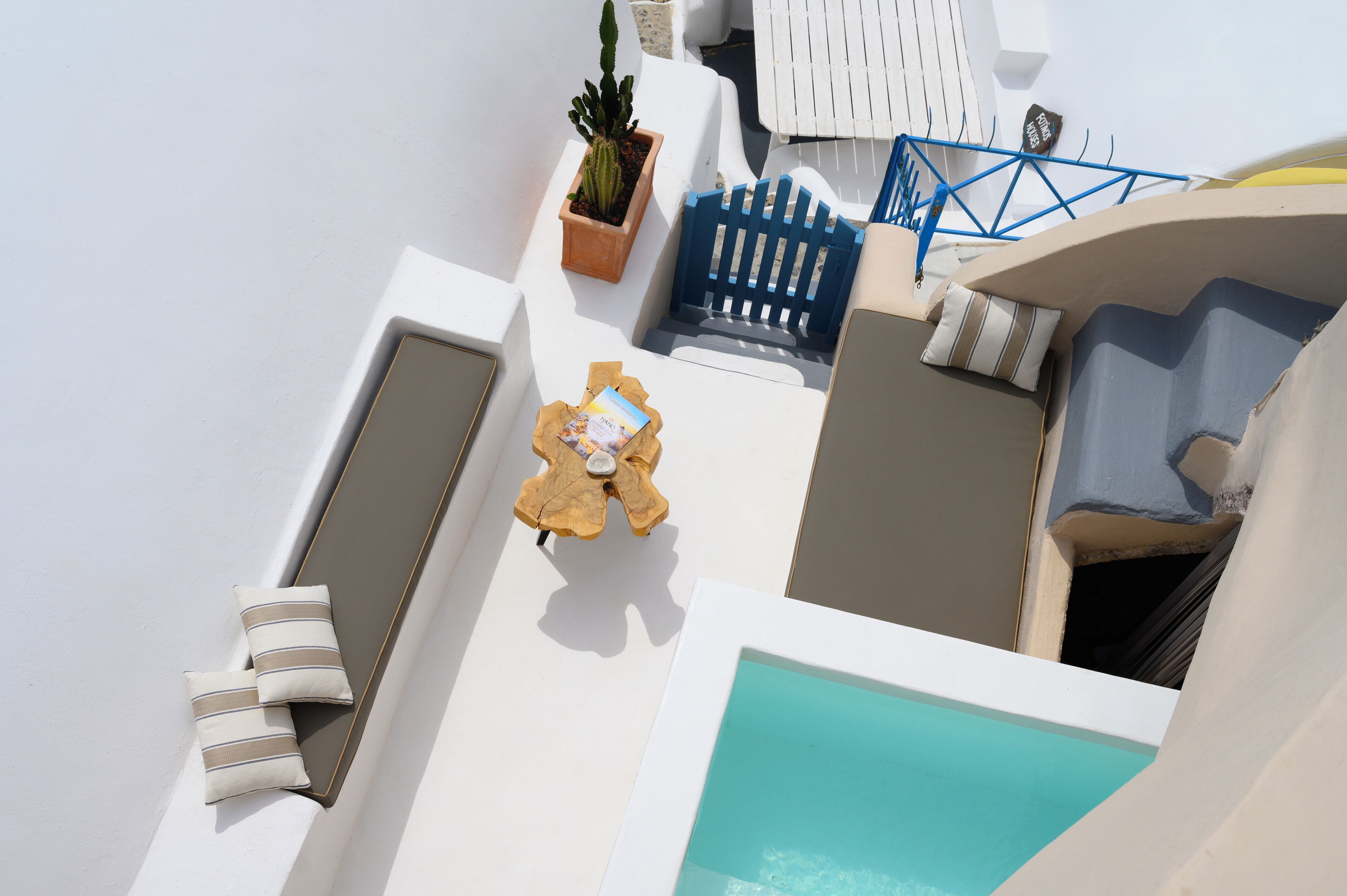 Eine Dachterrasse mit Pool, Liegestühlen und einer Kakteepflanze.