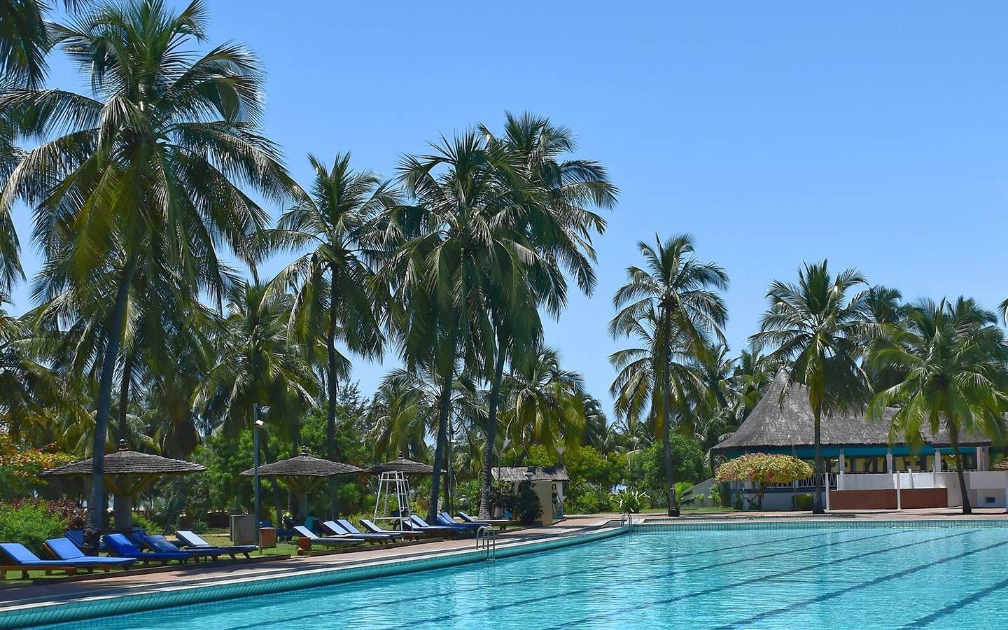 A swimming pool with lounge chairs and umbrellas, surrounded by palm trees and a thatched-roof building.