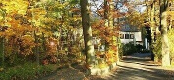 A pathway leading to a building surrounded by trees with autumn foliage.