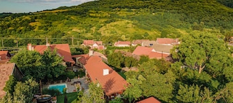 Casa Dives, Transylvania