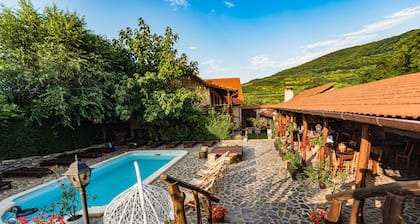 Casa Dives, Transylvania