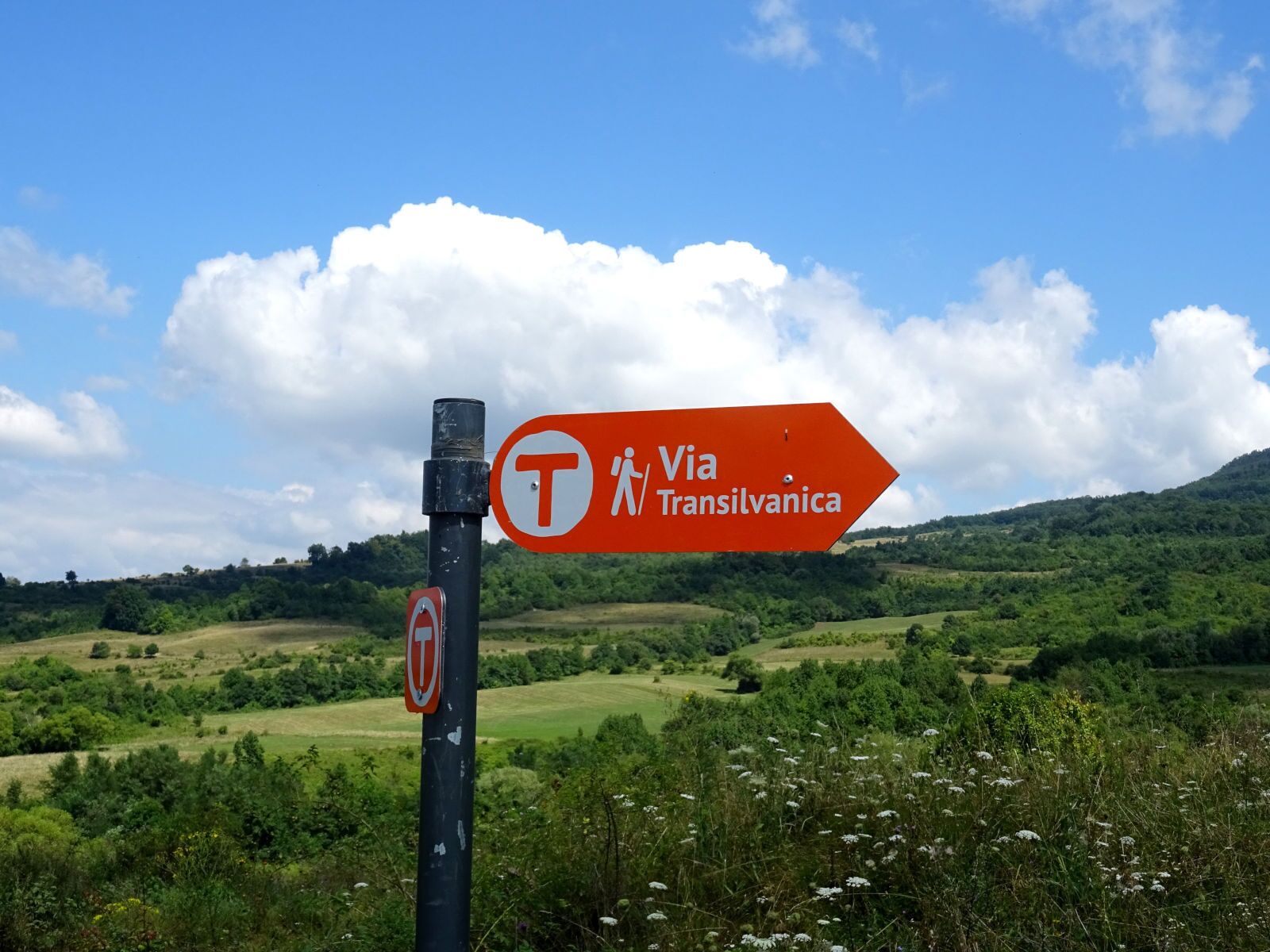 Un panneau de signalisation indiquant la direction de la Via Transilvania, avec un symbole d’interdiction d’accès.