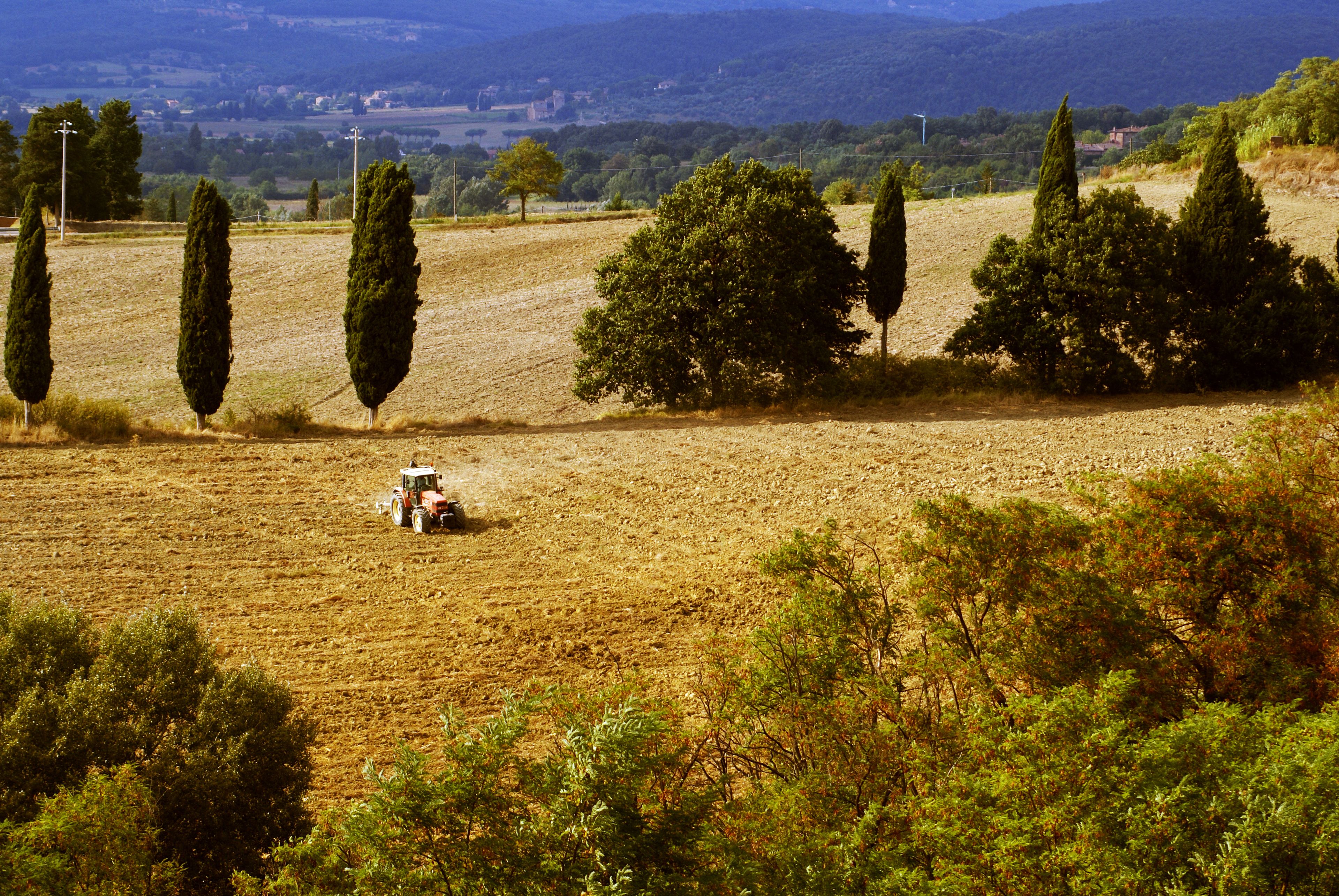 junior studio suite | view from property