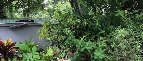 Vue depuis l’hébergement