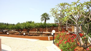 Un jardin aménagé avec un sentier dallé, un palmier et des plantes à fleurs.