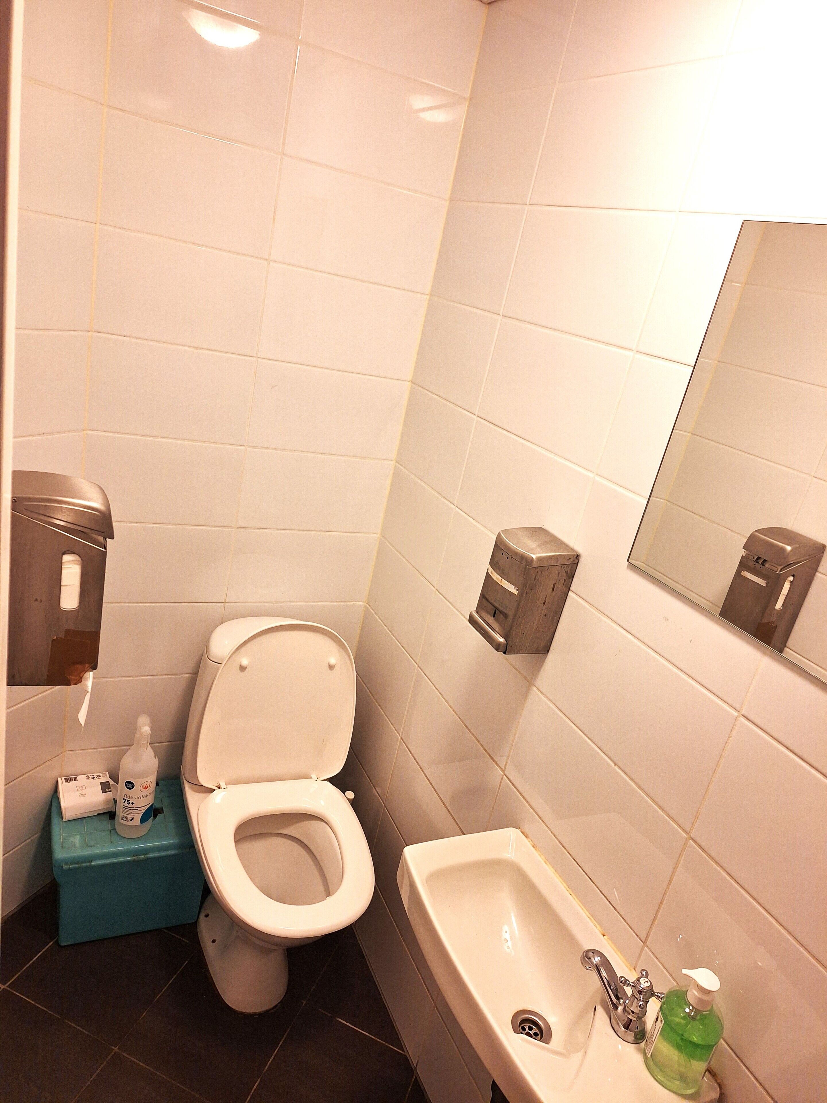 A bathroom with a toilet, a sink, a mirror, and a soap dispenser.