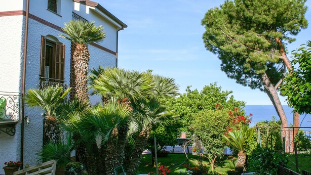A two-story building with a white facade and red trim, surrounded by lush greenery including palm trees and a tall pine tree. - La Dolce Vita (Taggia)