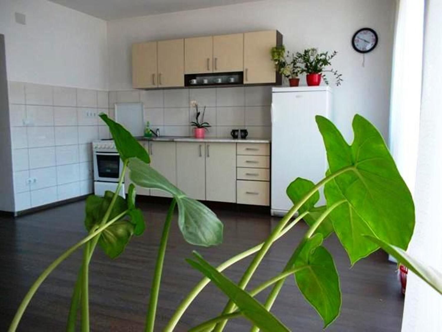 電冰箱、微波爐、烤箱、爐台