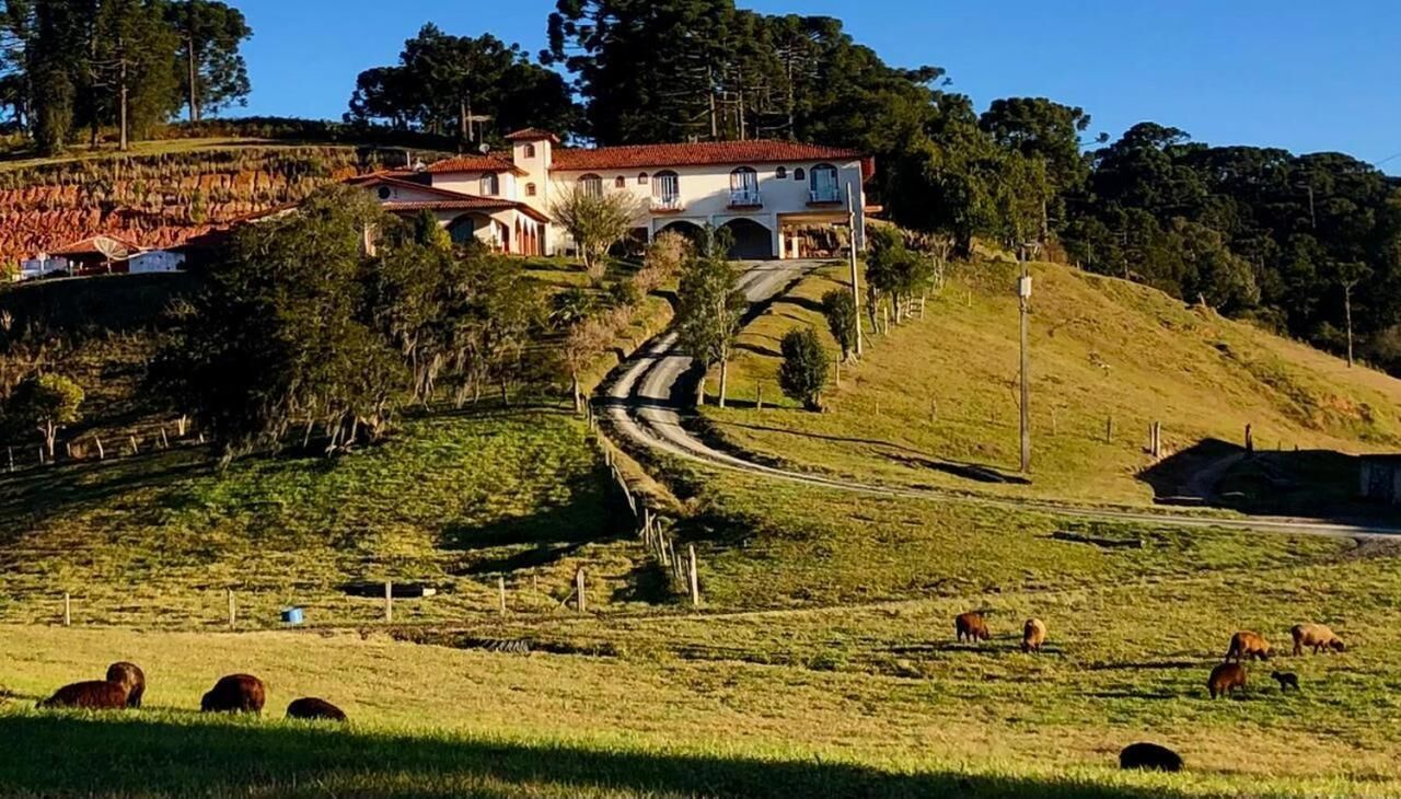 Paisagem rural com uma casa numa colina, estrada sinuosa e gado a pastar.