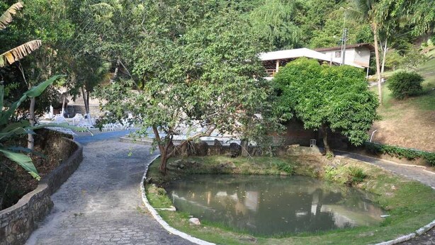 Un chemin pavé mène à un petit étang bordé d’une végétation luxuriante, avec un bâtiment visible au loin.