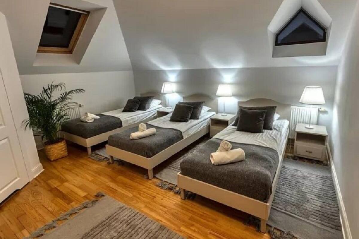 Ein Schlafzimmer mit drei Einzelbetten, einer Topfpflanze und einem Dachfenster.