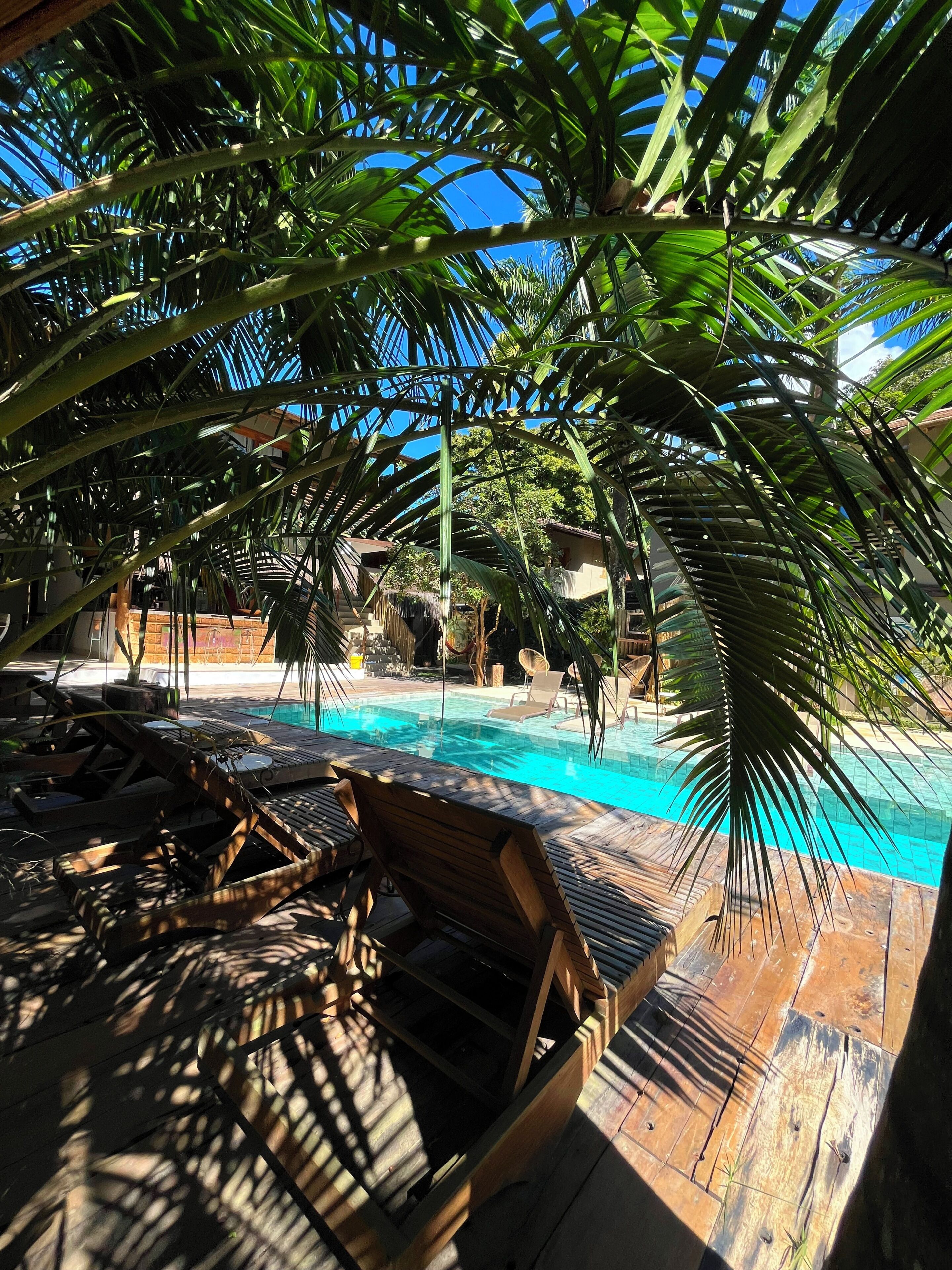 Uma área de piscina com espreguiçadeiras de madeira, piscina azul límpida e palmeiras.